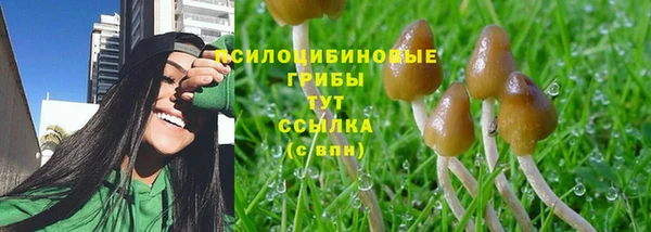 мяу мяу мука Абаза