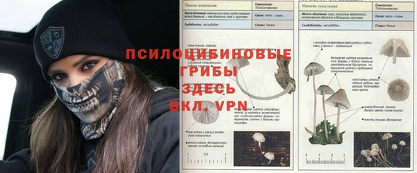 мескалин Абдулино